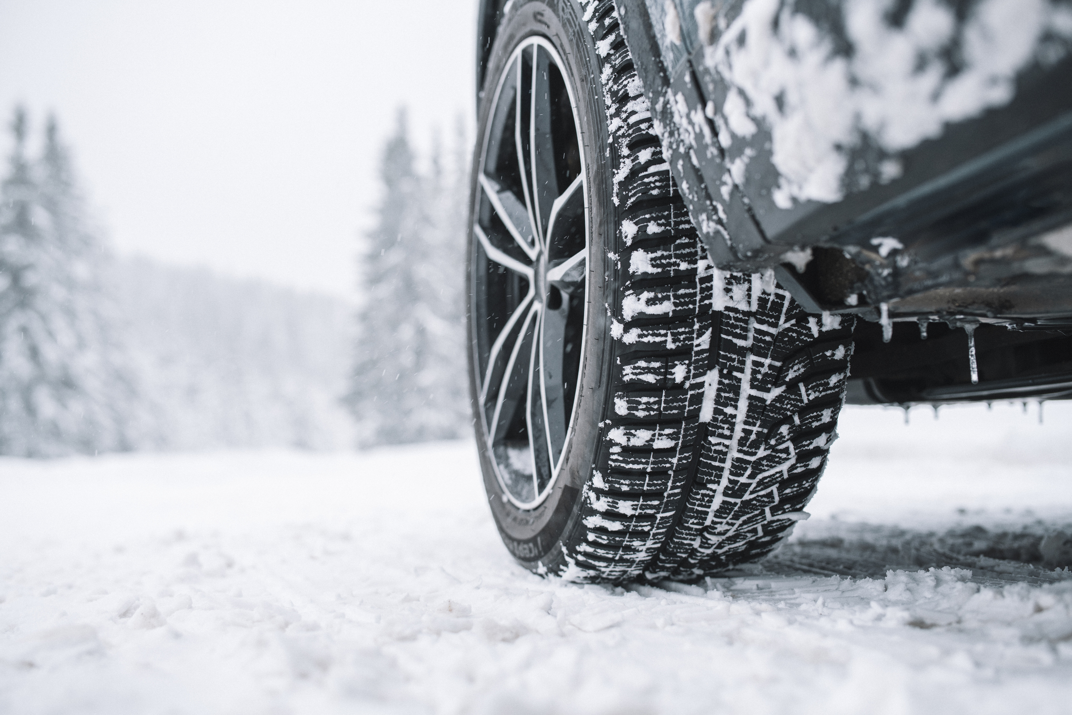 Vinterdekk med mønster fullt av snø på en brøytet skogsvei
